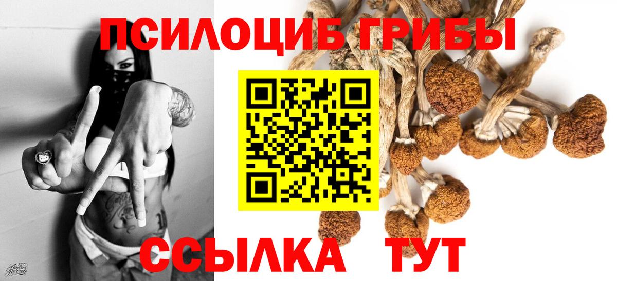 Псилоцибиновые грибы GOLDEN TEACHER Армавир